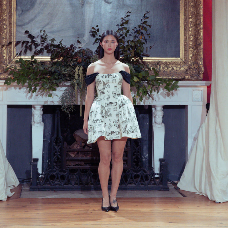 Limerick Toile de Jouy Jane Mini Dress