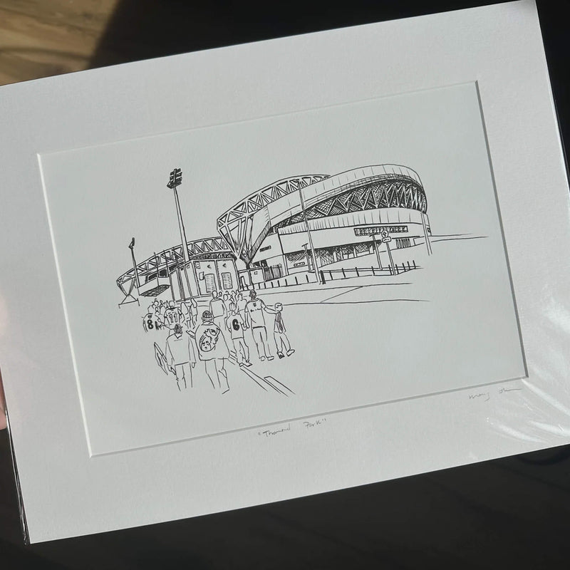 Thomond Park Fine Art Print